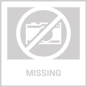 Pet Interactive Flywheel,Dog Frisbee Toy,Fun Interactions Buildstronger Bonds (Option: MacaronBlue)